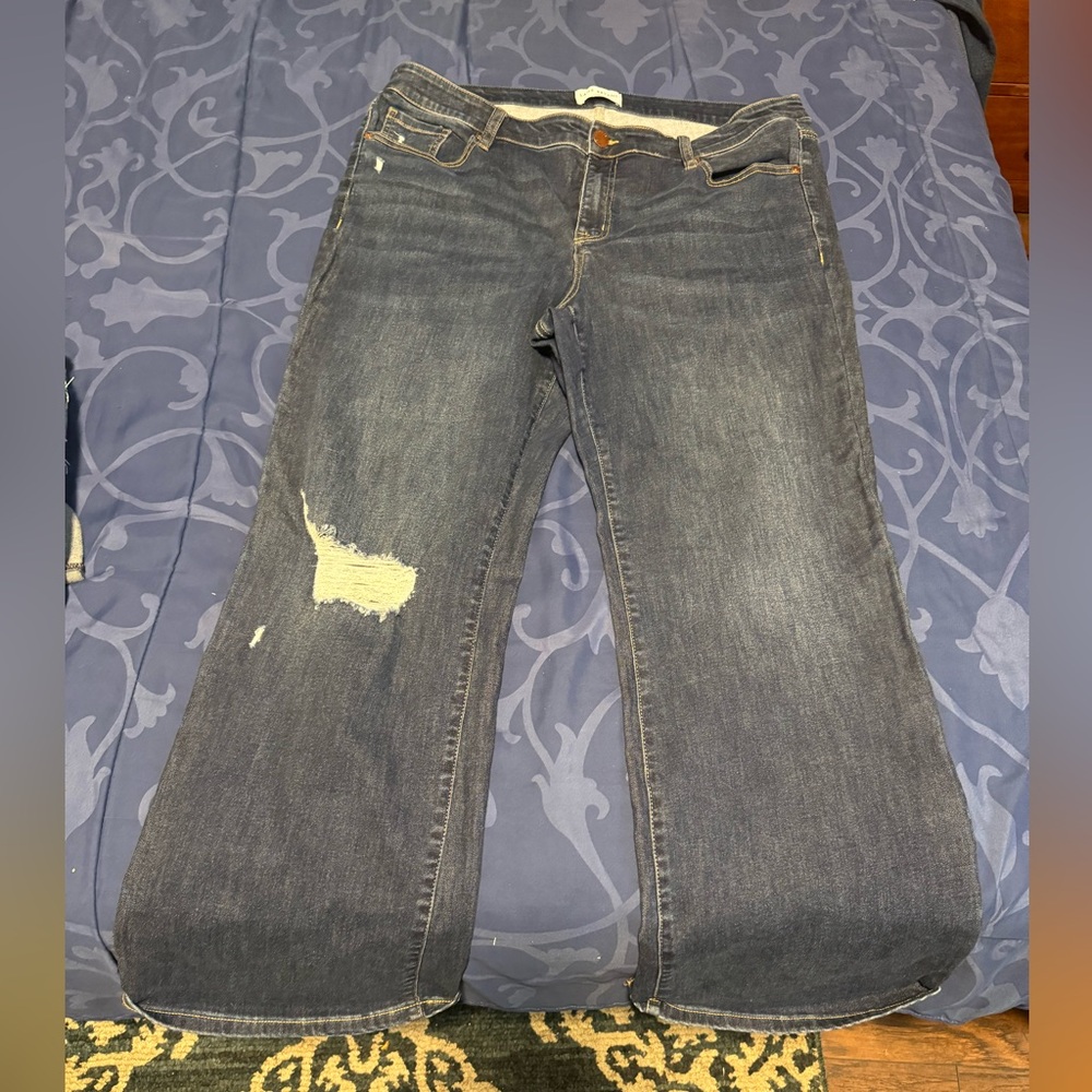 Boot cut Lane Bryant jeans